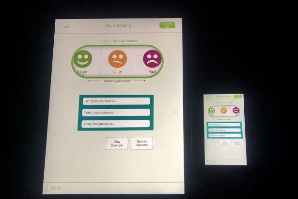 Person using a mental health support app on a phone